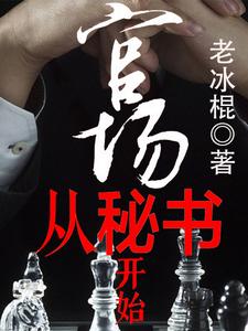  官场从秘书开始